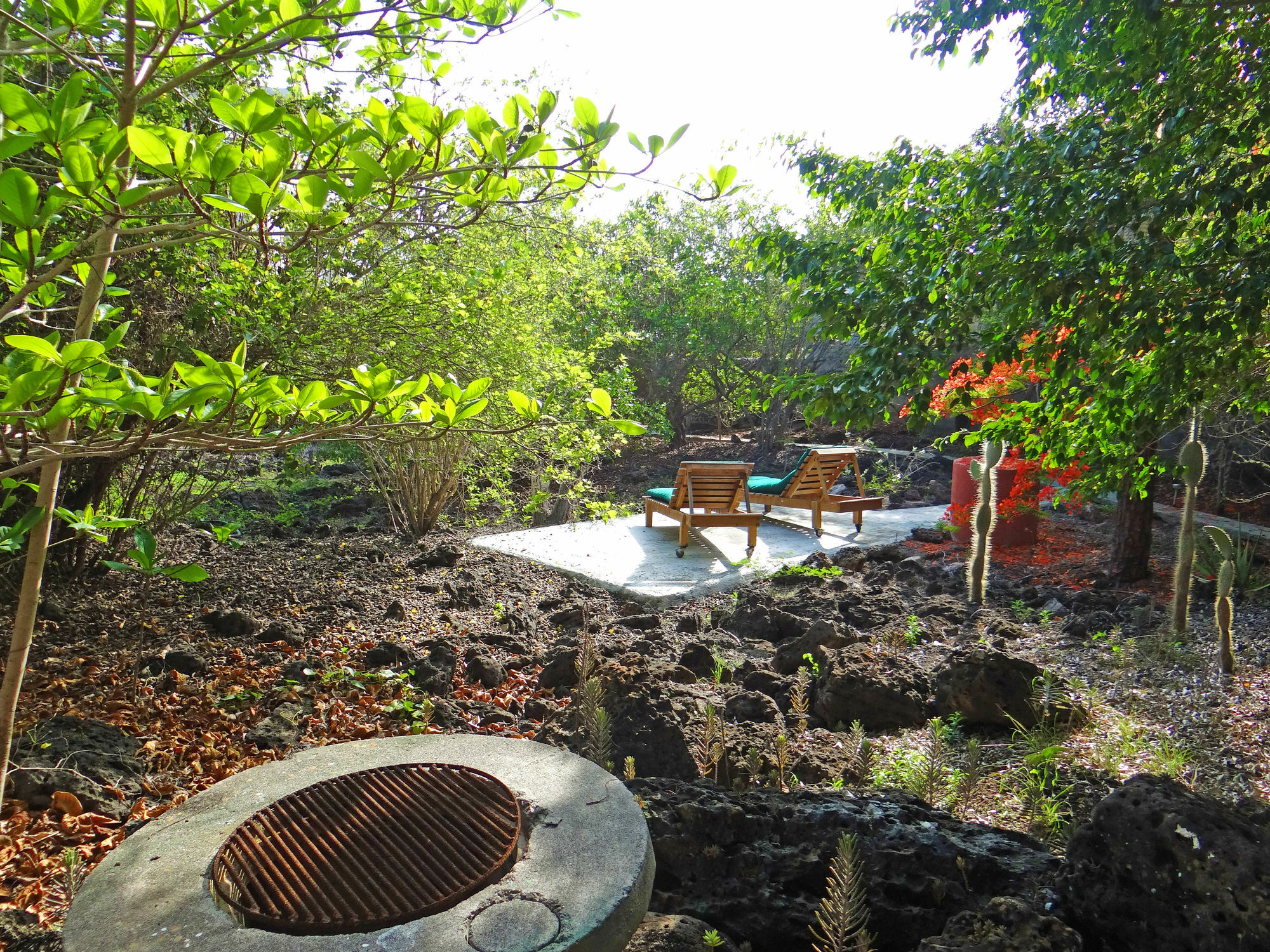 Galapagos Chalet Puerto Ayora  Exterior foto