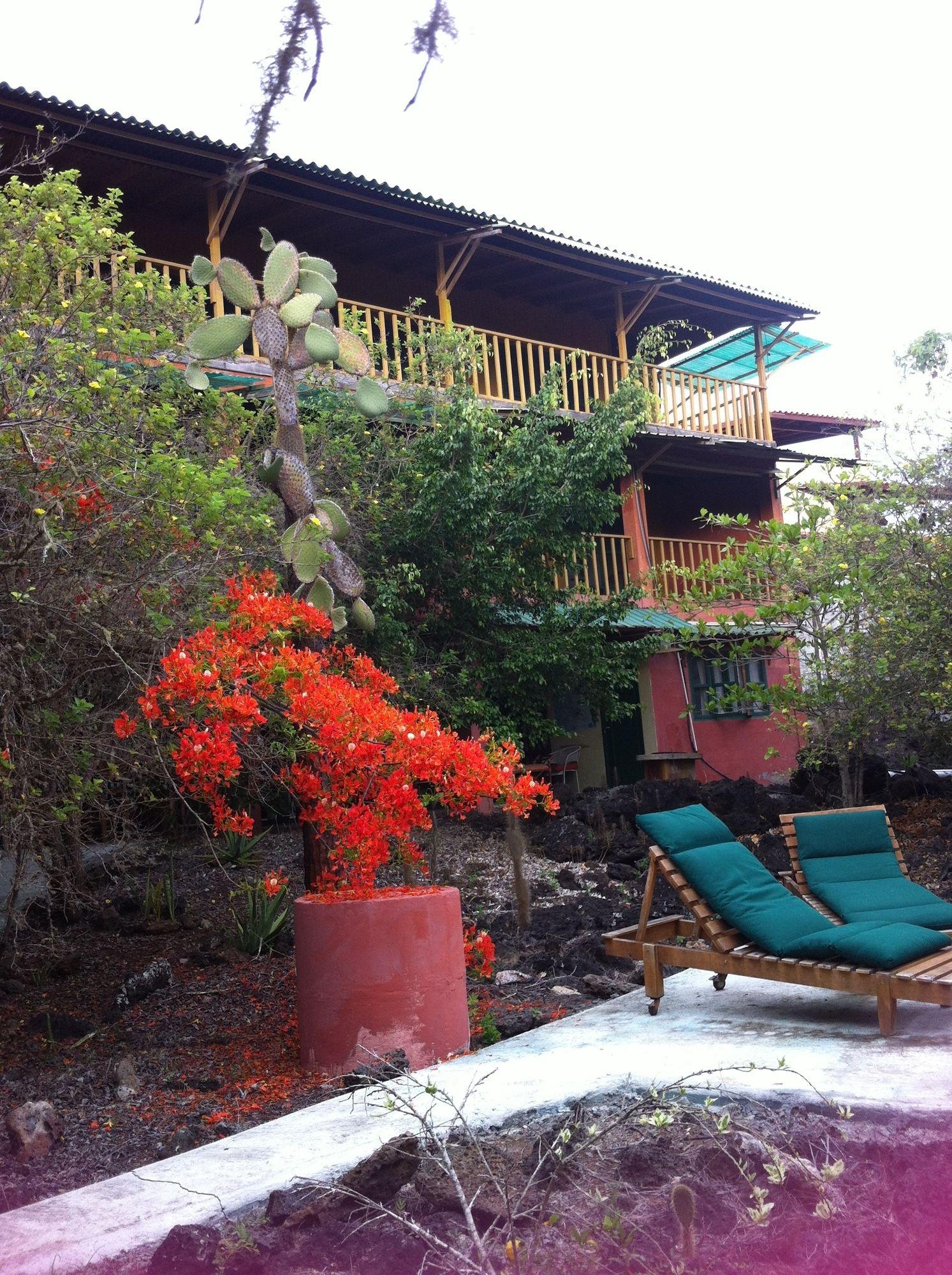 Galapagos Chalet Puerto Ayora  Exterior foto